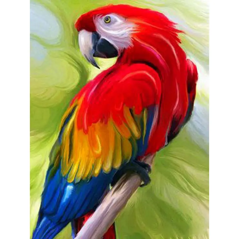 

GATYZTORY Animals Oil Painting By Numbers Parrot For Adults Paints By Number Canvas Painting Kits 50x40cm DIY Gift Home Decor