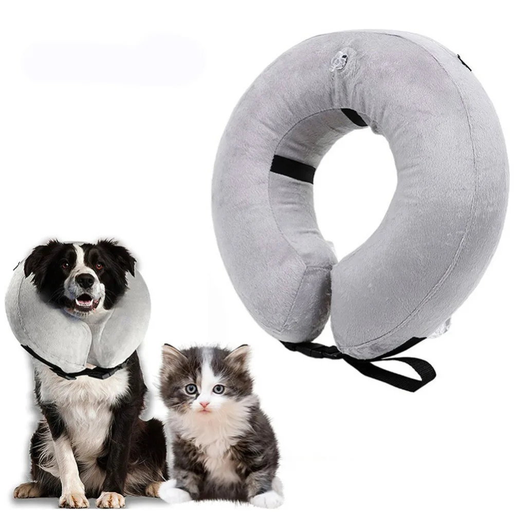 Cat Recovery Collars & Cones (1)