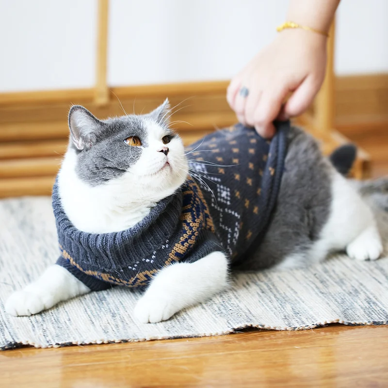 Одежда для кошек в осенне-зимний короткий молочный Кот синий кот сиамский безволосый котенок питомец толстый теплый зимний свитер BB50FY002