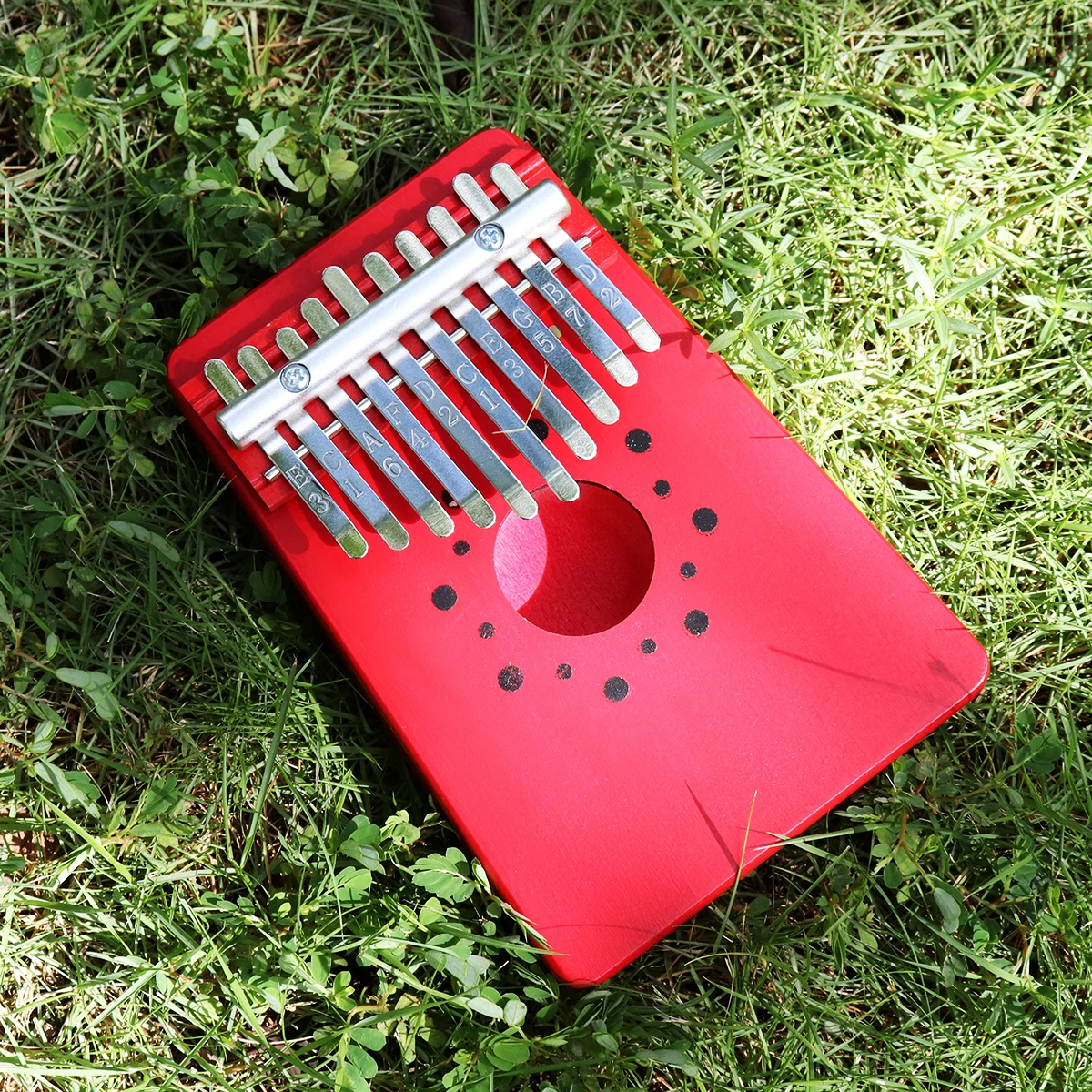 24657-description-10-l0.jpg