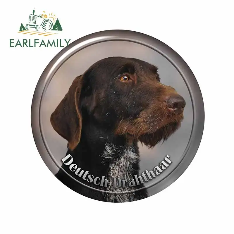 

EARLFAMILY 13cm x 12.9cm for German Wirehaired Pointer Dogs Car Accessories Motorcycle Car Decals Bumper Window Stickers
