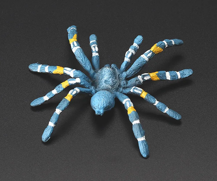 Boutique Solid Spider Reddish Black Blue Spider Static Model Insect Animal Model Toy Early Childhood Cognitive