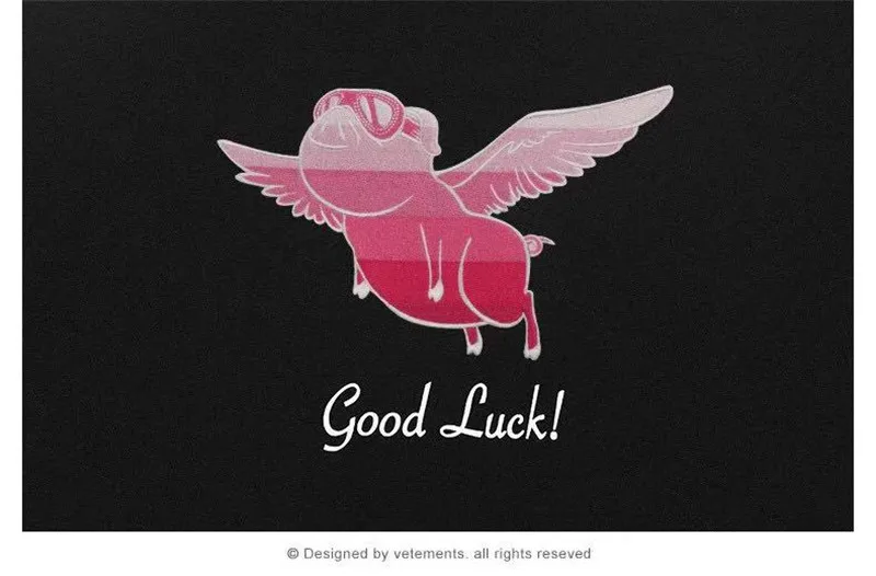 O1CN012778UU1ZEhIzhap0n_!!4234533163