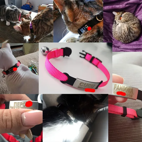 맞춤형 ID 태그 고양이 목걸이, 벨 조각, 안전 분리, 소형견 나일론, 조절 가능, 새끼 고양이 목걸이 5