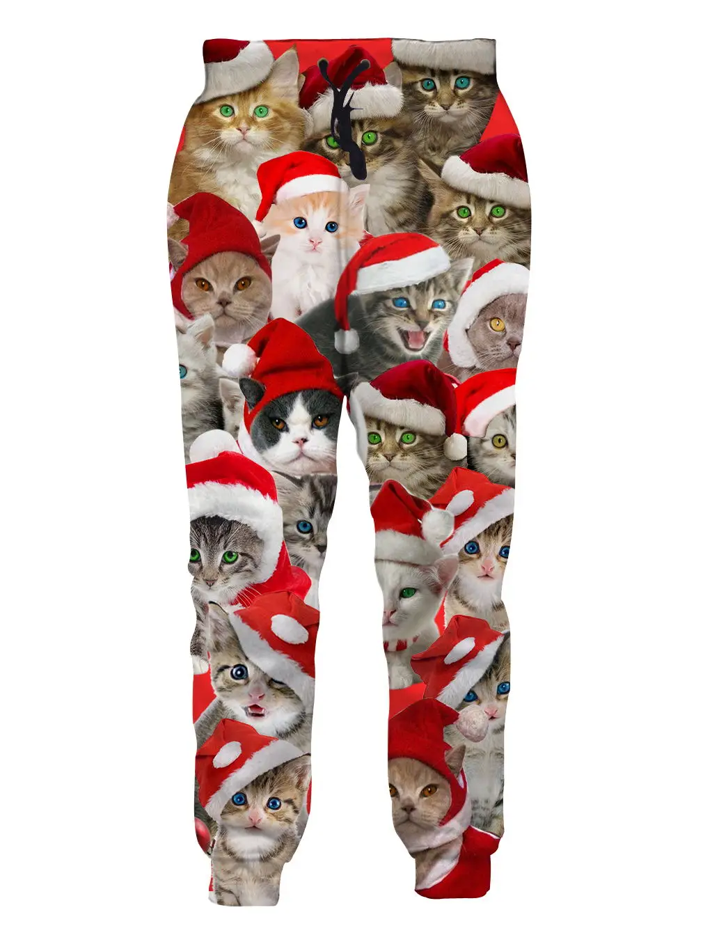 Мужские толстовки с 3D принтом кошки на Рождество, спортивные штаны, комплект из двух предметов, Повседневная Уличная Толстовка в стиле хип-хоп, спортивный костюм унисекс, топы с капюшоном - Цвет: DD10063