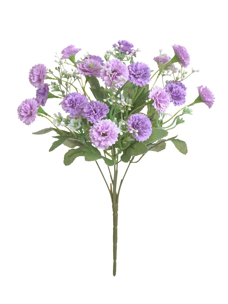 YYPA0051-1-YYPA0051-5-CS