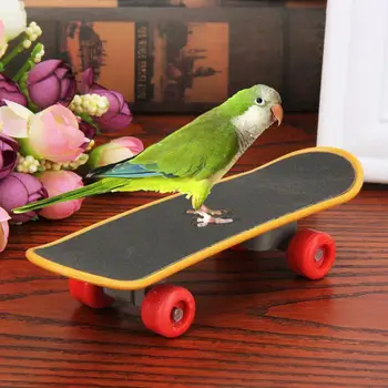 

1pc Small And Medium Parrot Educational Toys Mini Skateboard Toy Pet Intellectual Claw Toy Parrot Training Products