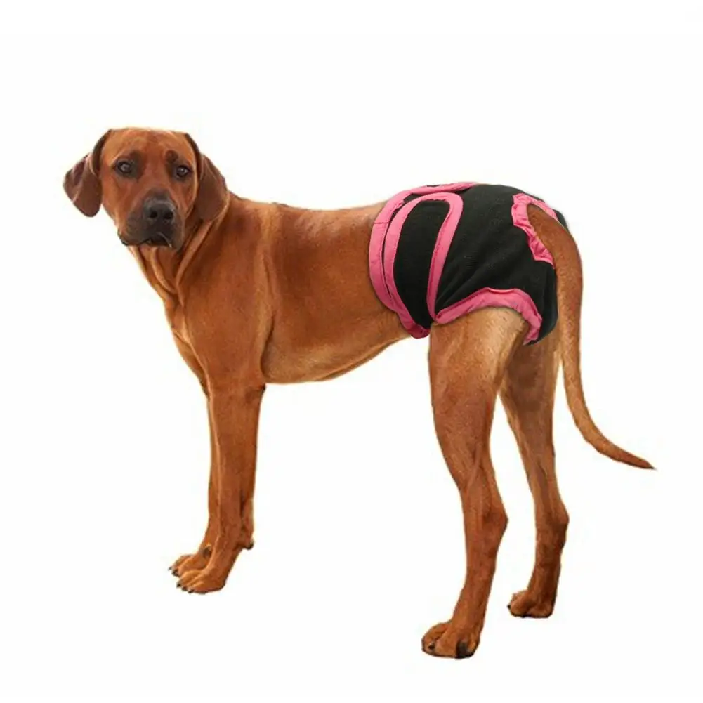HobbyLane Female Breathable Physiological Pants for Small Meidium Pets Dogs