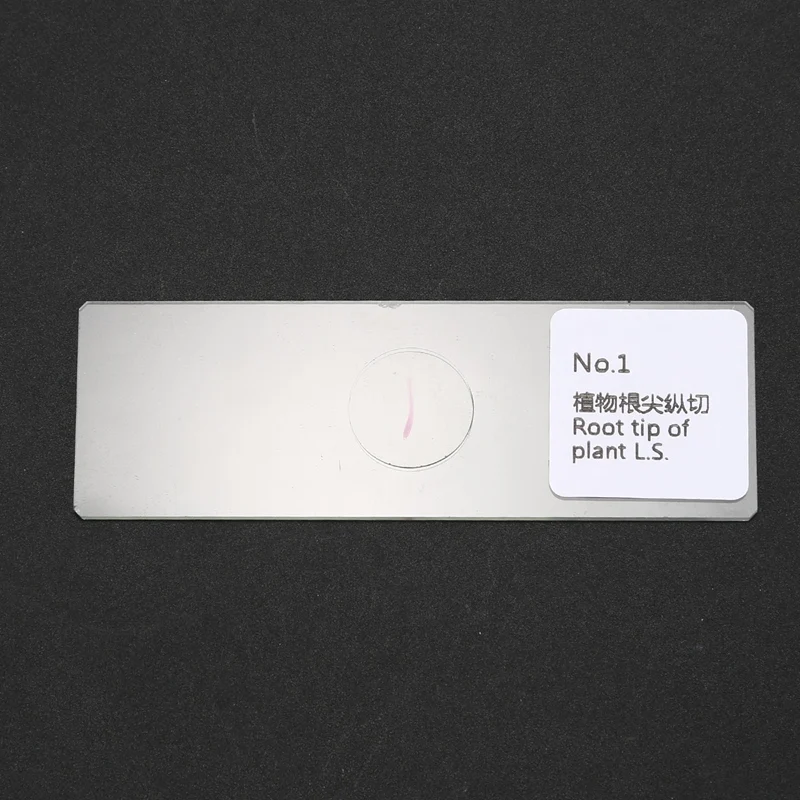 100PCS Professional Glass Slice Prepared Microscope Slides Educational Specimen Human Tissue Sections with Plastic Box
