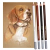 4 Color Professional Soft Pastel Charcoal Pencils Wood Skin Tints White Colored Pencils For Artist Drawing Sketching Blending 6
