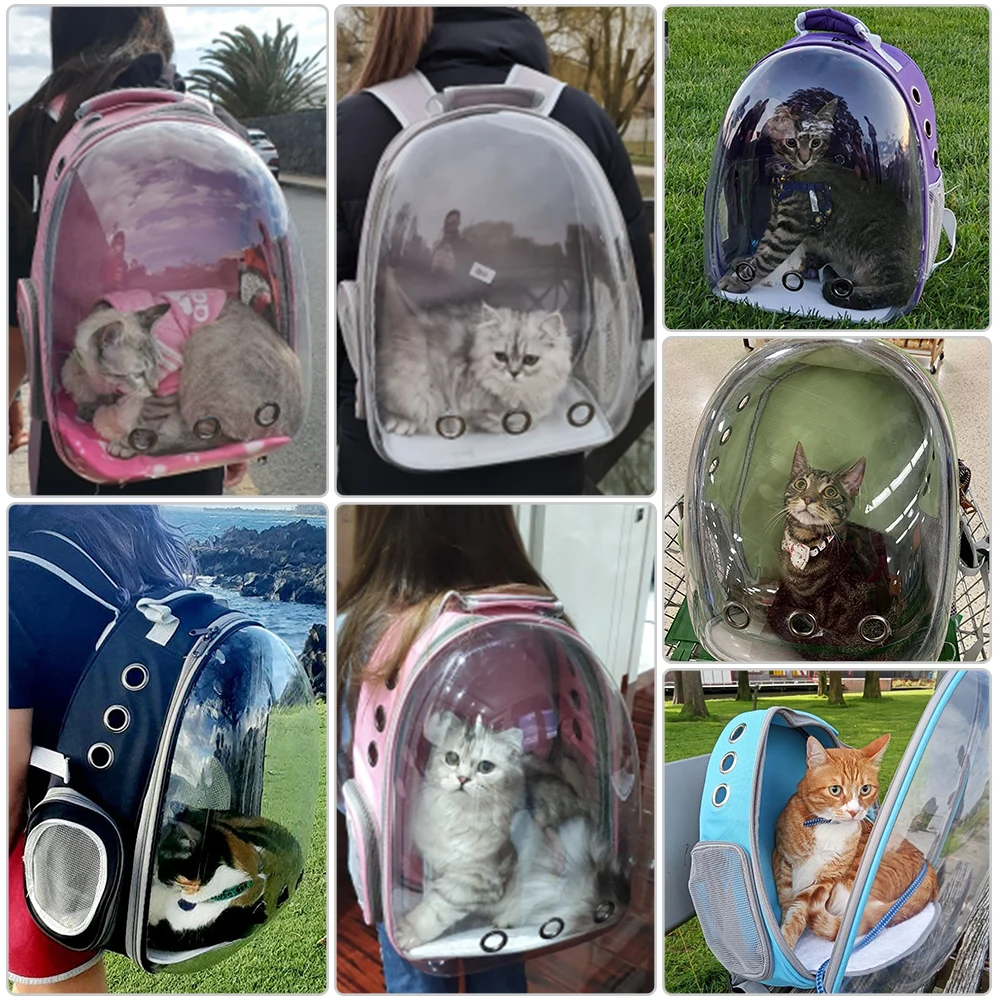 NOUVEAUTÉ - Sac à dos de transport transparent pour chat et chien