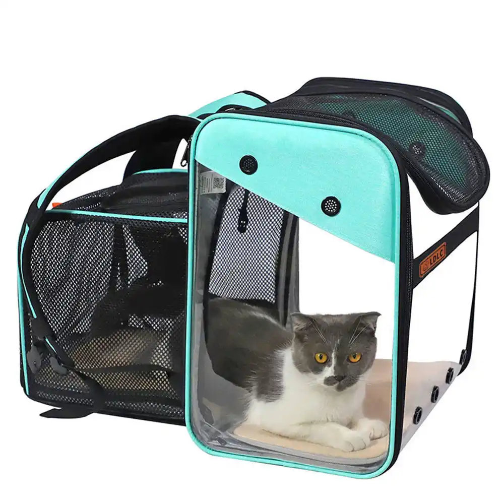 cat transparent backpack