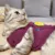 MPK Store Tempura Cat Clothes, Прекрасный Японский Свитер Tempura Cat, Зимняя одежда Shrimp Tempura Cat
