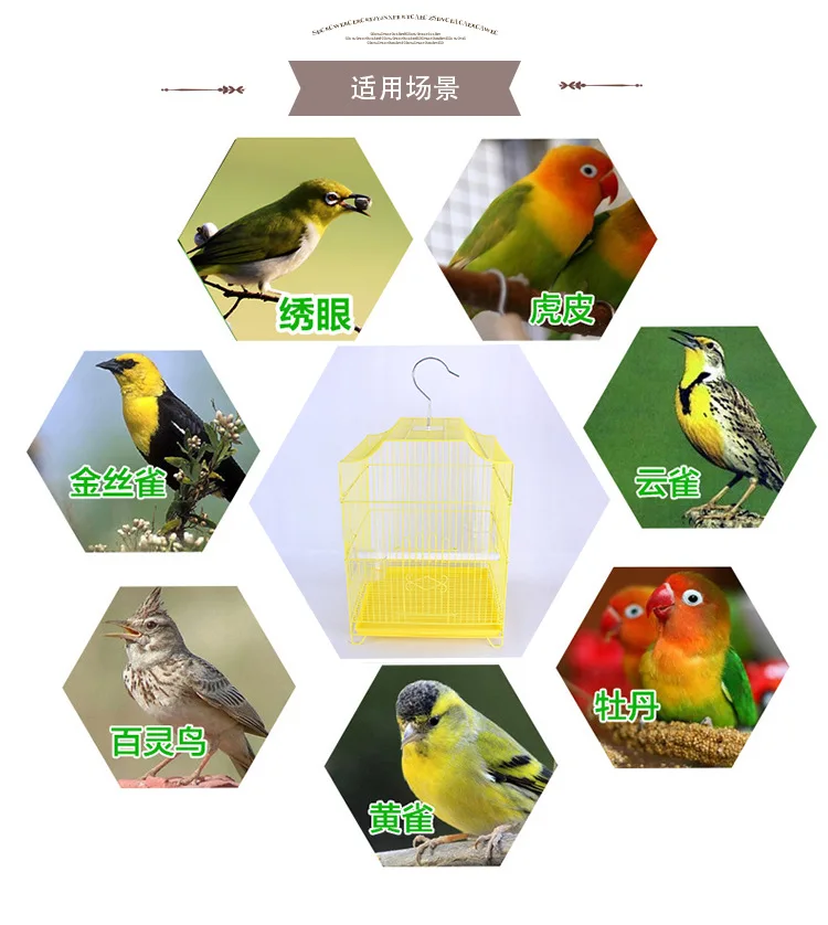 Oriental Pet Supplies Wholesale Large Size Cage Mynah Cage Birdcage Tiger Skin Parrot Thrush Birdcage Sub-with Transparent Food