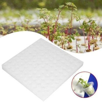 

200PCS Soilless Hydroponic Vegetables Nursery Pots Nursery Sponge Culture For Hydroponics Planting Baskets