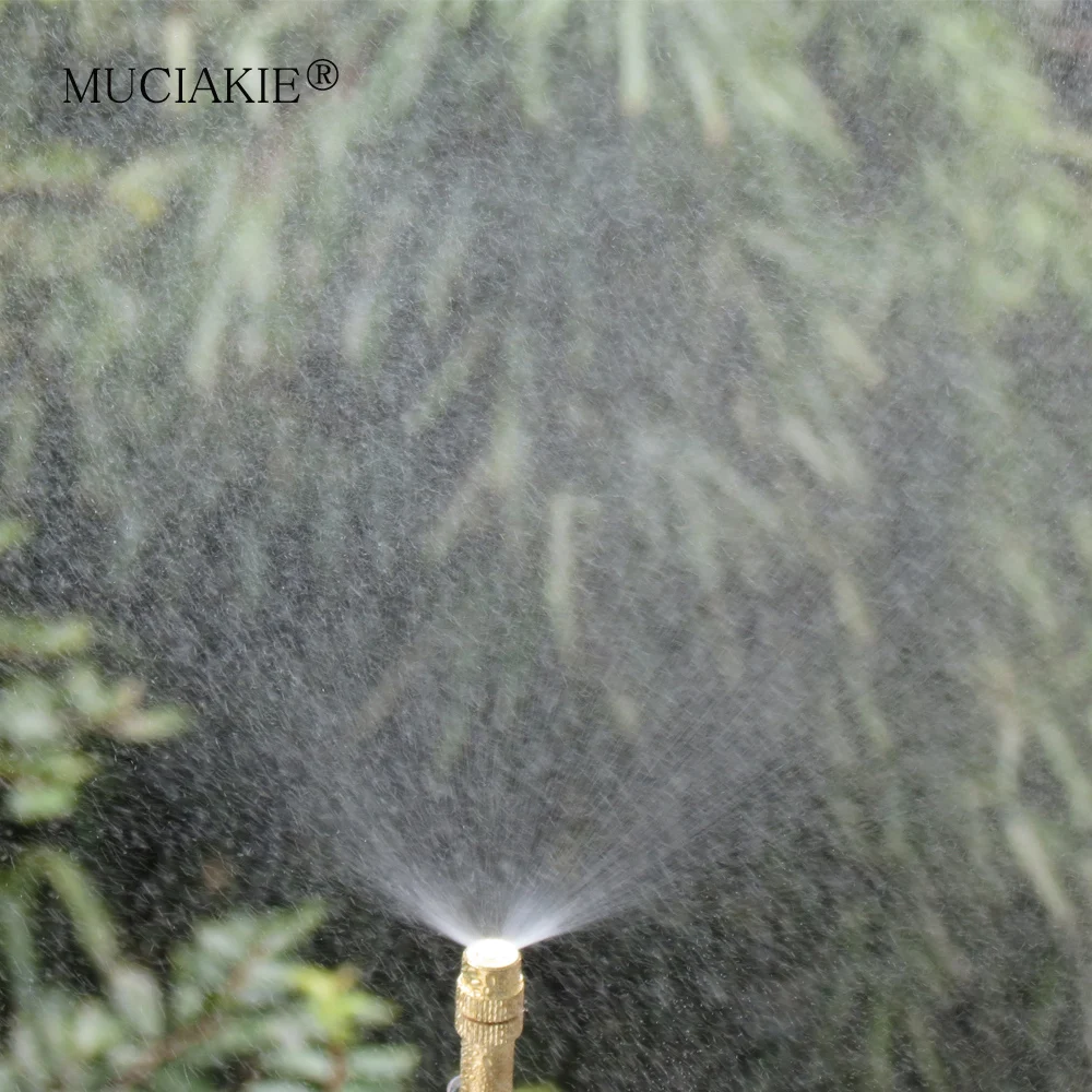 MUCIAKIE- й 15/30/50/100/200/300, 1/4 ġ ٺ   ̽   Ȳ Ȱ Ŭ 