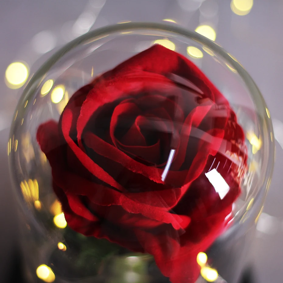 Красивые розы и дикие животные в баночке на День святого Валентина