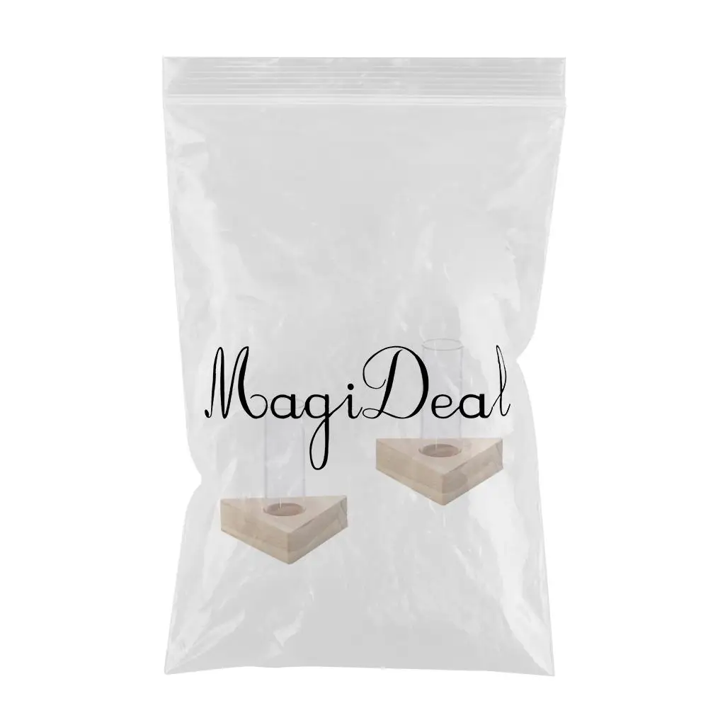 2pcs Planter Test Tube Flower Bud Vase Tabletop Glass Pots in Wooden Stand