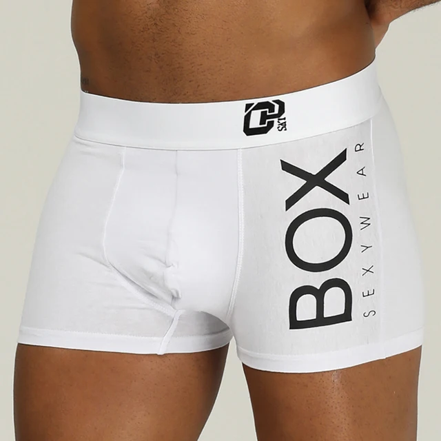 ORLVS Mens Boxer Dillad Isaf Sexy Bocsershorts hir meddal Cotwm Underpants meddal Panties Gwryw 3D Pouch Shorts Dan Wear Pants Byr 2