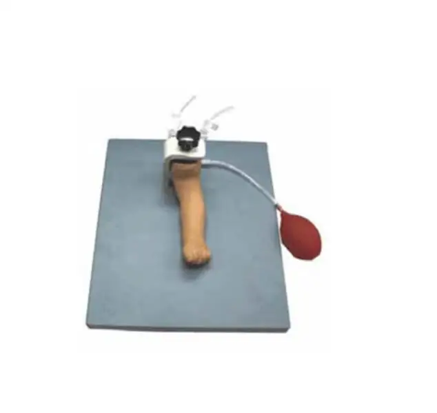 Medical Science Advanced Human Infant Artery Puncture Arm ManikinI