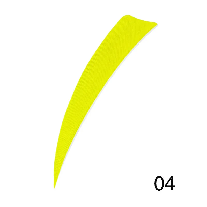 303557_no-logo_303557-2-04-g