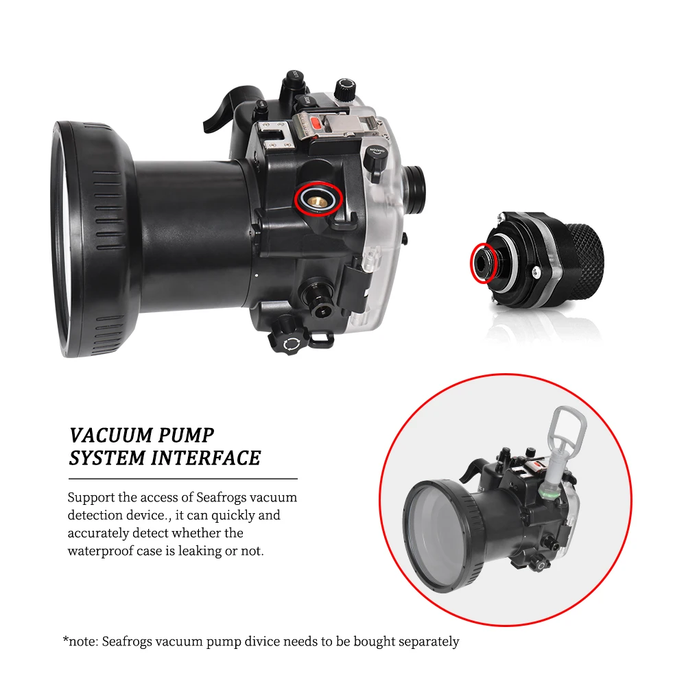 Photography Lighting Kit 2.6x3M Photo Background