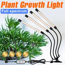 Tiras LED