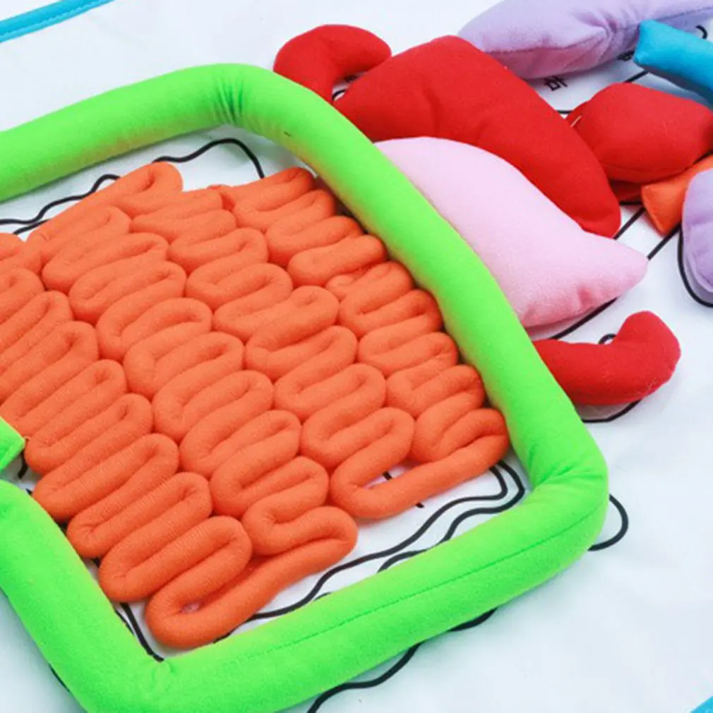  Human Internal Organs Teaching Apron Baby Early Education Apron Puzzle Apron Organ Apron Body Stere - 4000545530719