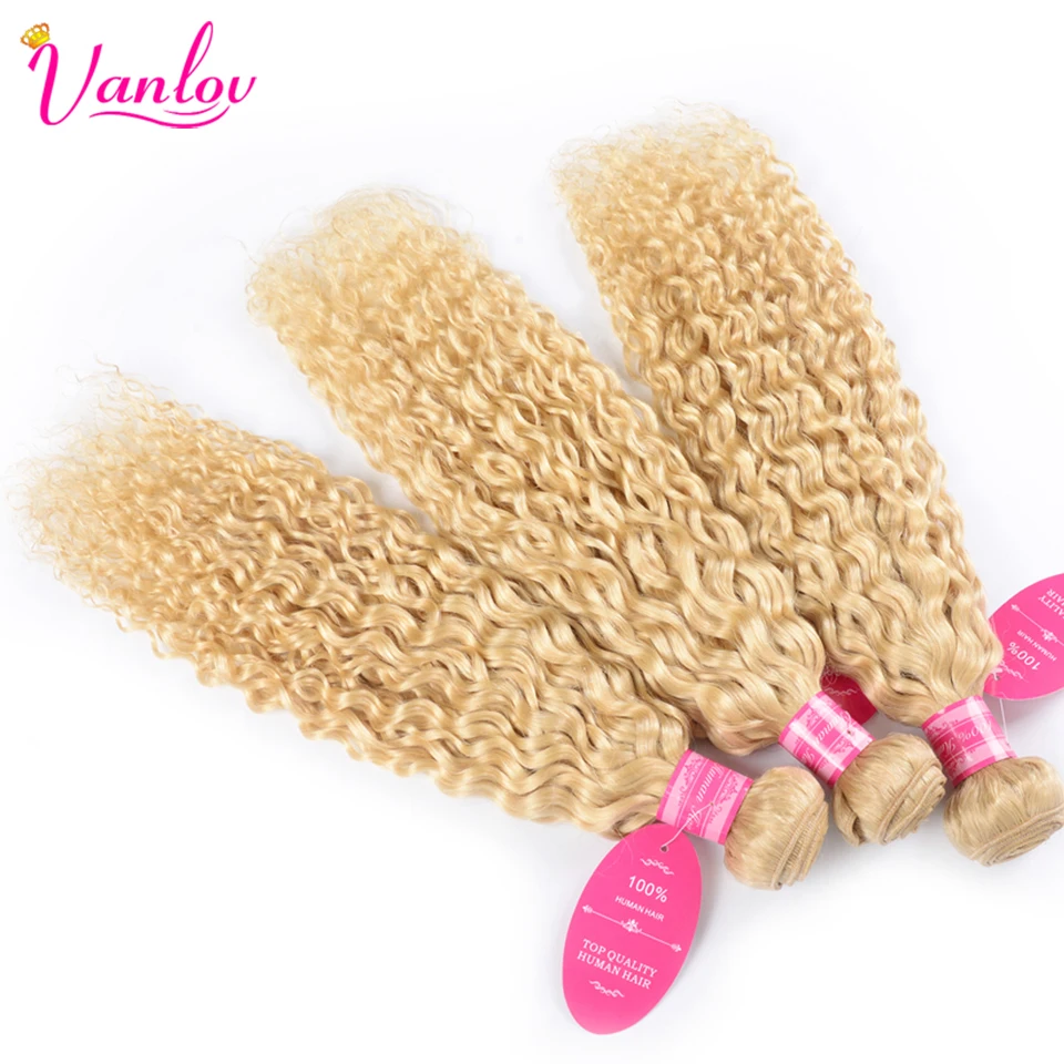 Vanlov 613 Bundles With Frontal Malaysia Water Wave Blonde Human Hair Bundles With Closure 13x4 Lace Frontal With Bundles Remy (2)
