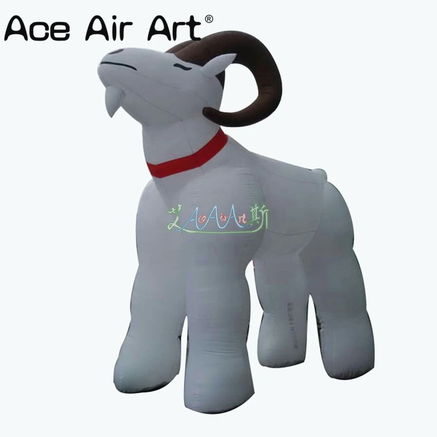 HTB1j48GXZfrK1Rjy0Fmq6xhEXXaB