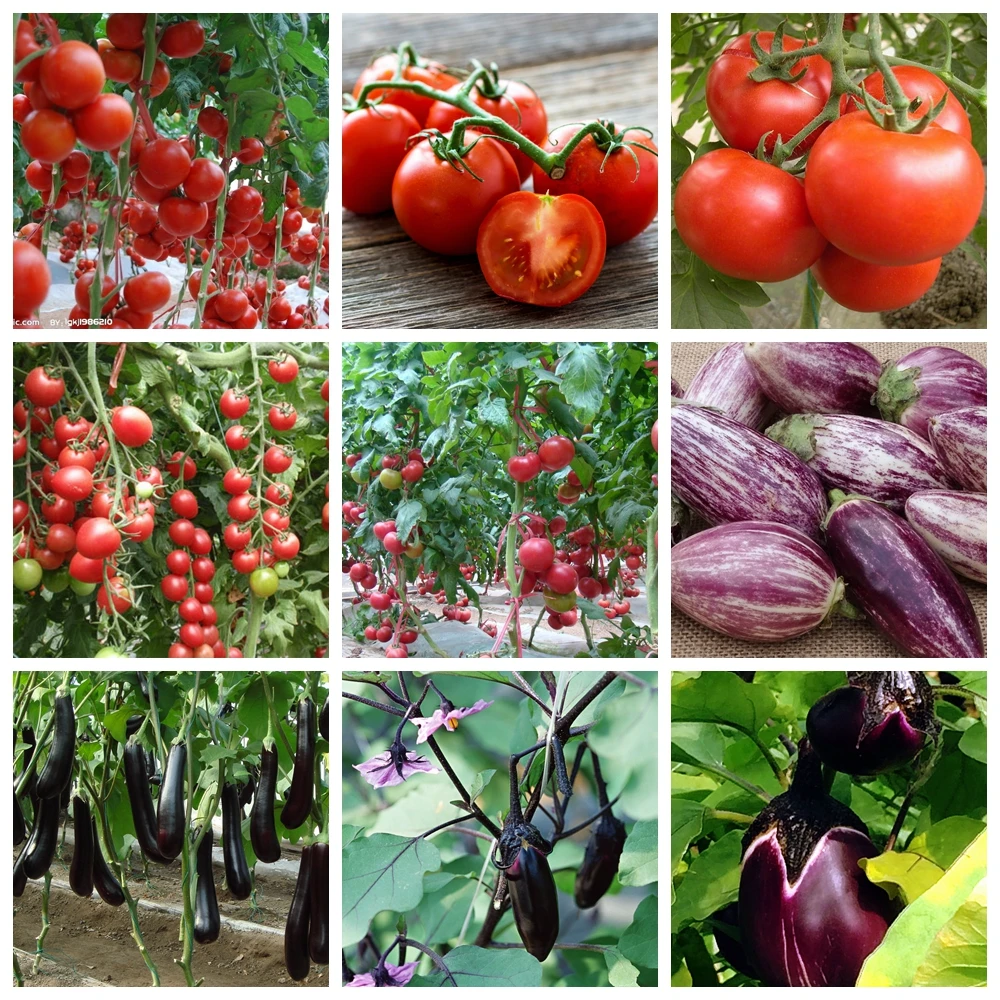 23影魔术手拼图