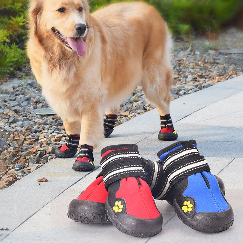 de lluvia para perros grandes, calzado impermeable, resistente al desgaste, para mascotas grandes, Golden para perro| - AliExpress