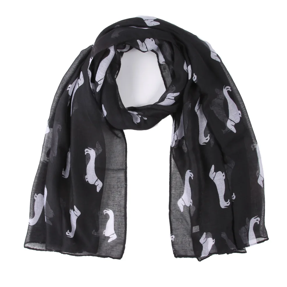 11155000948_1237927820