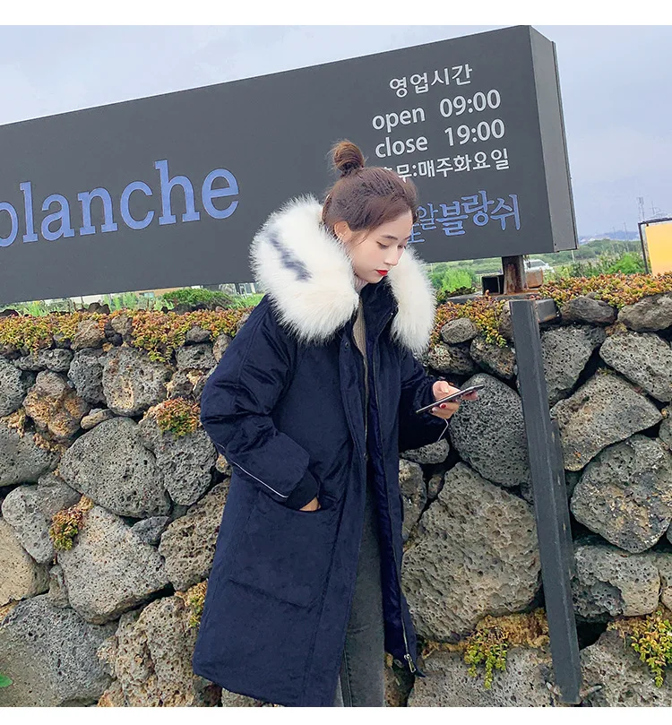  pleuche cotton1_05.jpg