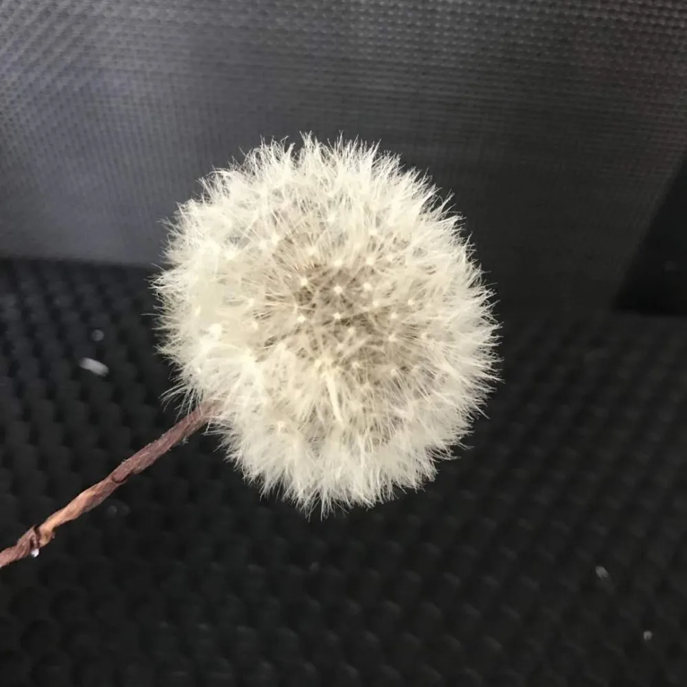 5b330402c7ba0d5ee2657835e9e9123