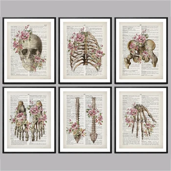 

Human Anatomy Artwork Medical Wall Picture Muscle Skeleton Vintage Poster Nordic Canvas Prints Education Painting Modern Decor
