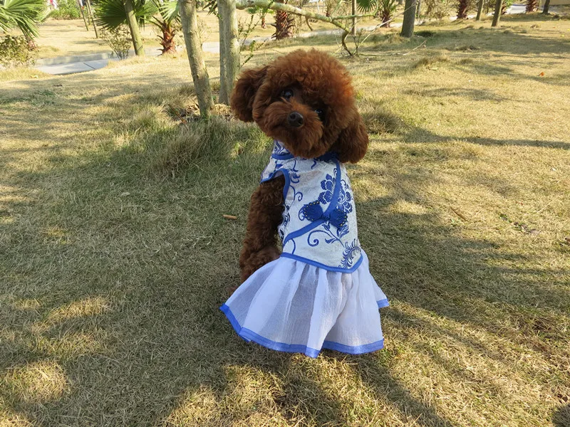Одежда для домашних животных стиль Cheongsam юбка плюшевый Померанский кот собака китайский костюм