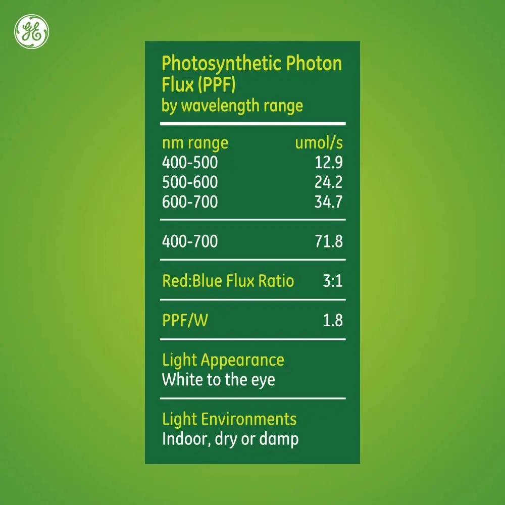 61SEQLPBypL._AC_SL1000_