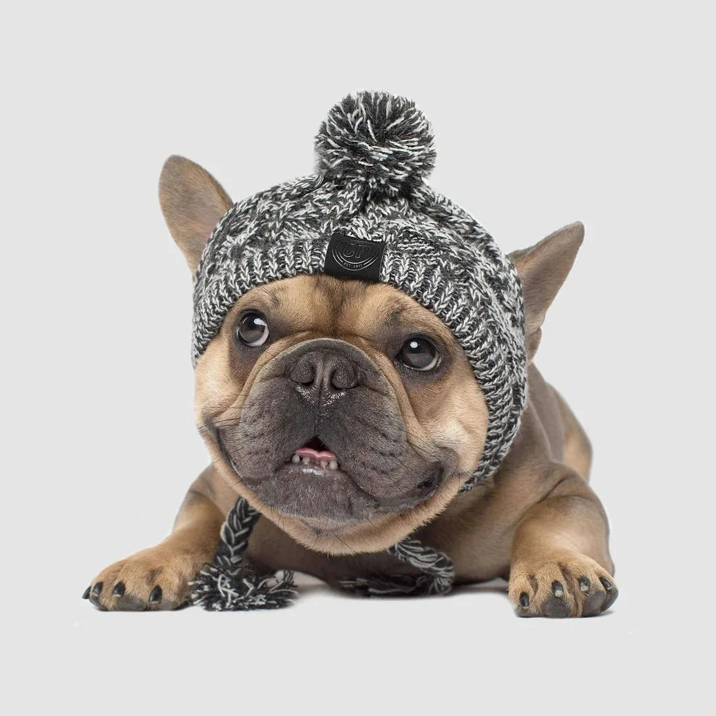 skully with brim Winter Warm Dog Hats Windproof Knitting French Bulldog Hat for Dogs Chihuahua Hat Fluffy Ball Puppy Accessories Pet Hat 2022 New skully hat men's