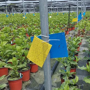 

10PCS Gardening Sticky Pest Board Farm Bug Sticky Board Double-sided Coated Paper Sticker Board with Binding Wire for Garden