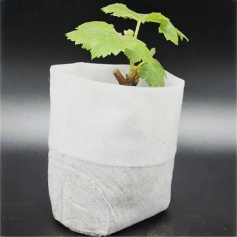 QQ截图20200522155936