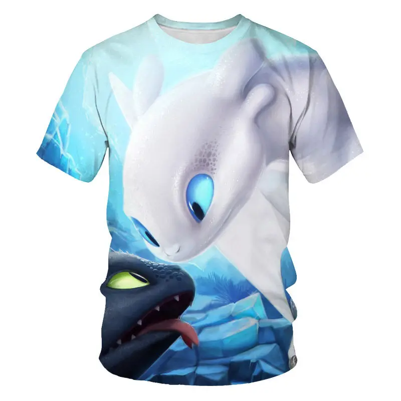 how to train a dragon shirt