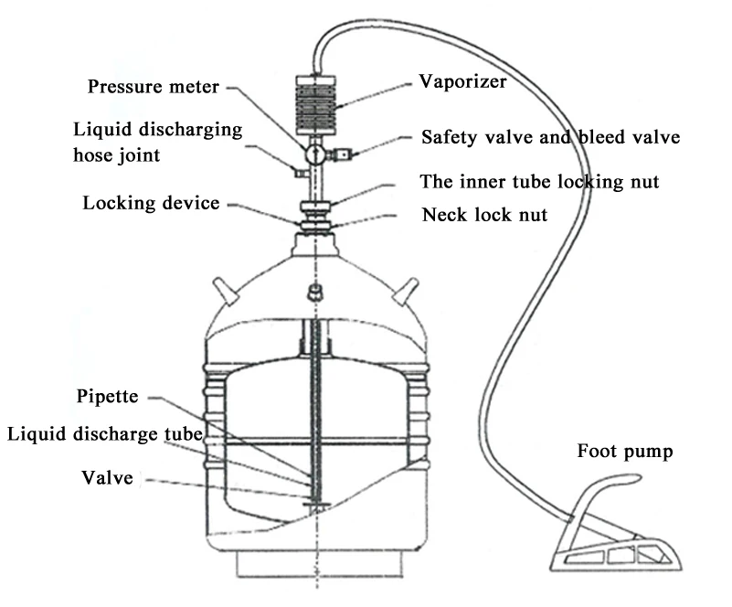 HTB1cwtMfbwrBKNjSZPcq6xpapXan