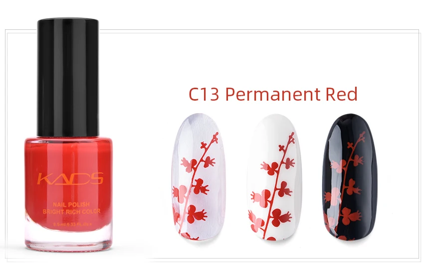 C13
