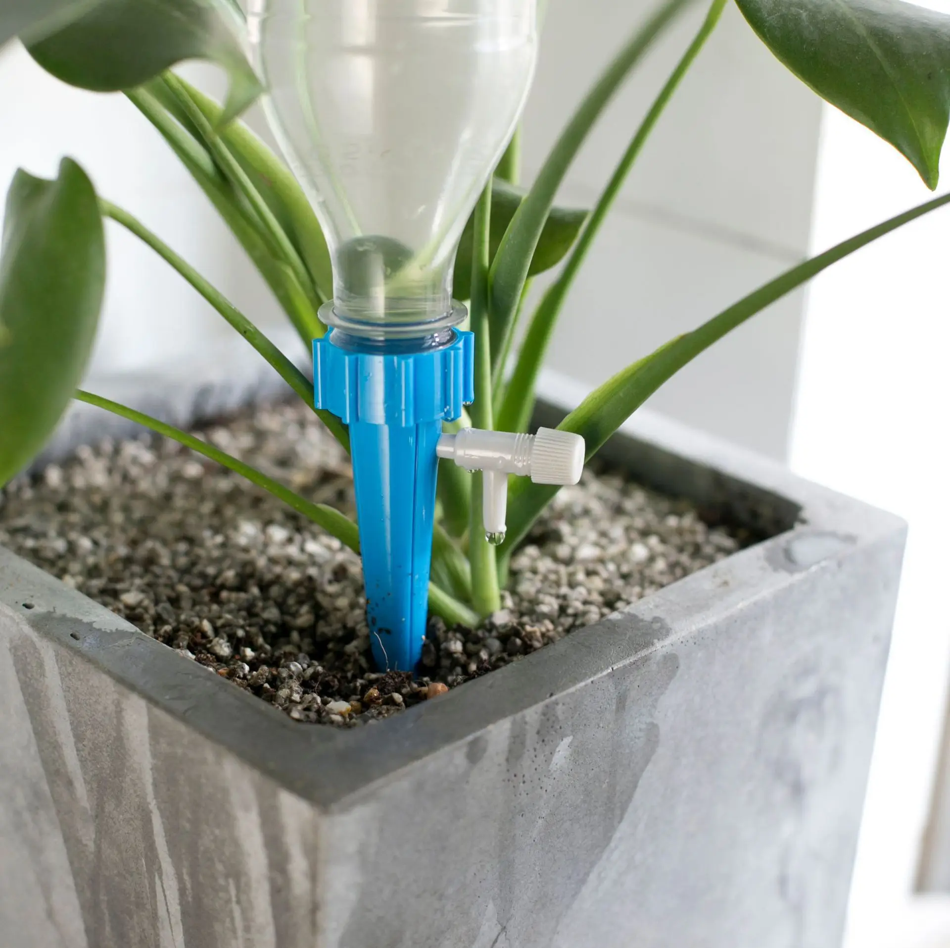 NEW 1/6/10/12/Pcs Drip Irrigation System Automatic Watering Spike for Plants Garden Watering System Irrigation System Greenhouse