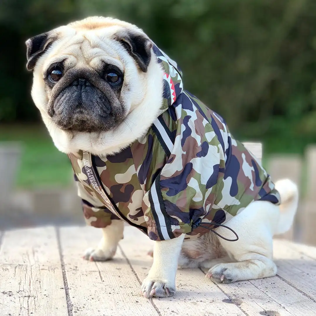 Dog Clothes Adidog Camouflage French Bulldog Pupreme Shirt Dog Camo Windbreaker Sport Retro Dog Hoodies Pet Clothes Puppy Pugs