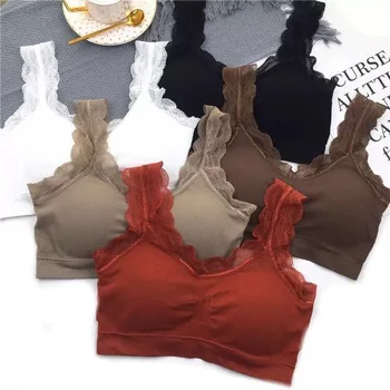 

Little Bear Fairy Lace Beauty Back Wrap Chest Tube Top Without Steel Ring Thread Ladies Sports Bra for Women Gym Staniki Damskie