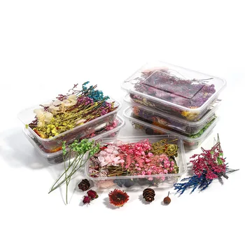 

1 Set Planktonic dried flower specimen small broken flower props flower head flower material DIY glue crystal candle material