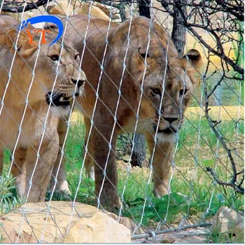 

zoo mesh,Stainless steel Zoo mesh,Bird cages mesh SS 304 316 316L