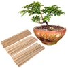 50Pcs Bamboo Plant Grow Support Sticks, Garden Potted Flower Canes Rod Wooden Floral Plant Sticks Support for Home Garden Climb ► Photo 3/5